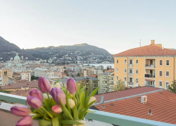 Apartament White View By Rent *