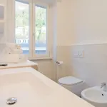 White View *