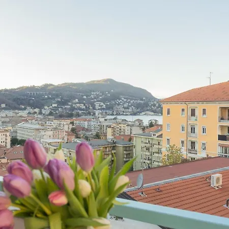 Apartment White View By Rent *